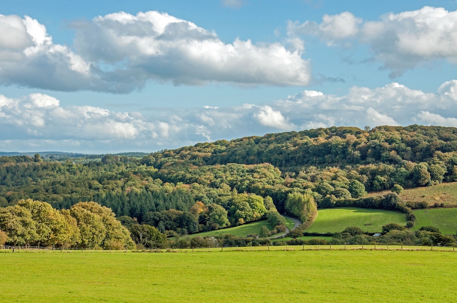 Autumnal countryside in the Forest of Dean, United Kingdom., Shutterstock ID 1041959836, Purchase Order: SP-1394 HA Batch 3 Part 1, Order Number: , Client/Licensee: HomeAway, Other: To be paid with HA