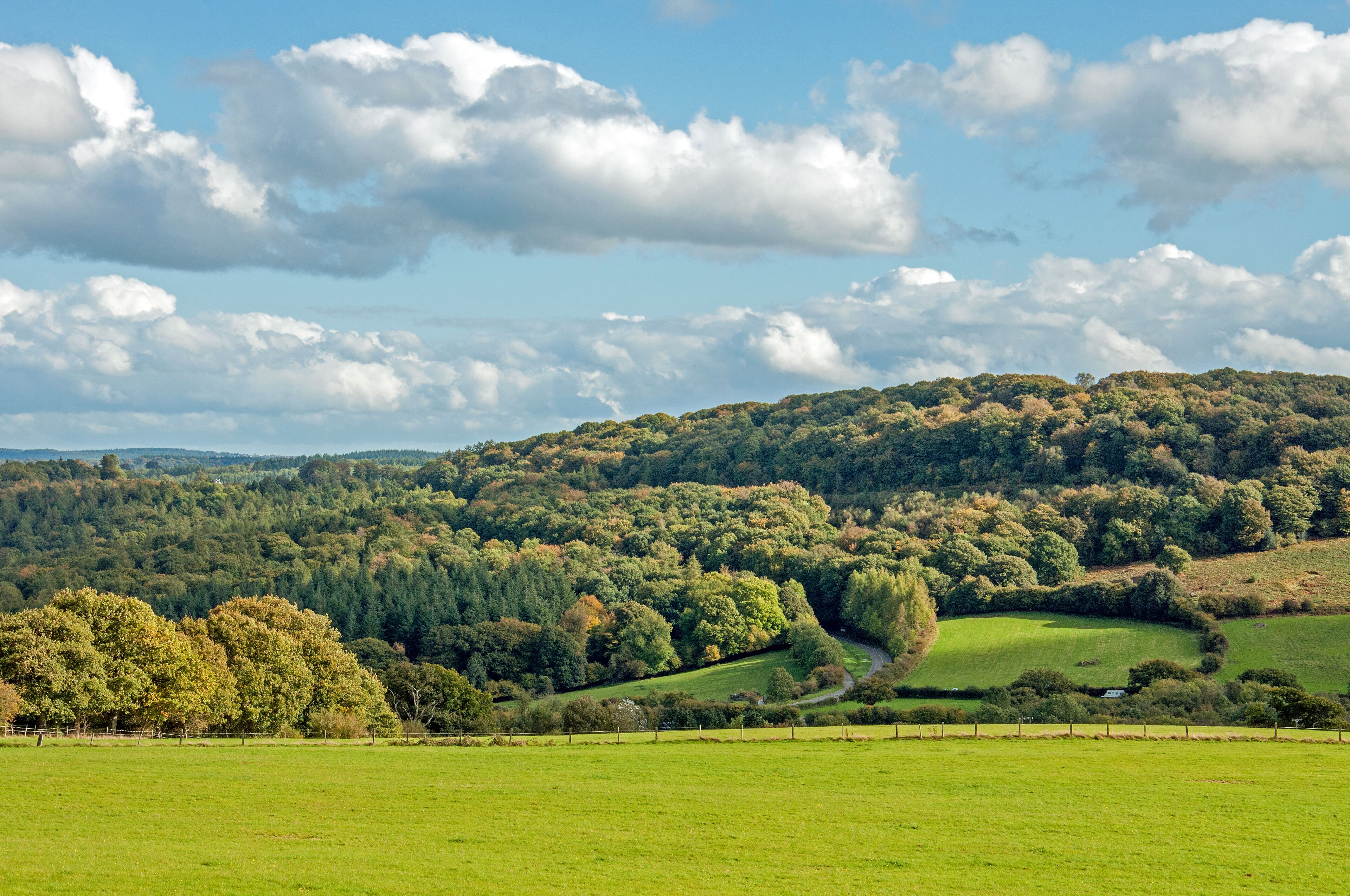 A lush green valley with rolling hills and scattered trees.