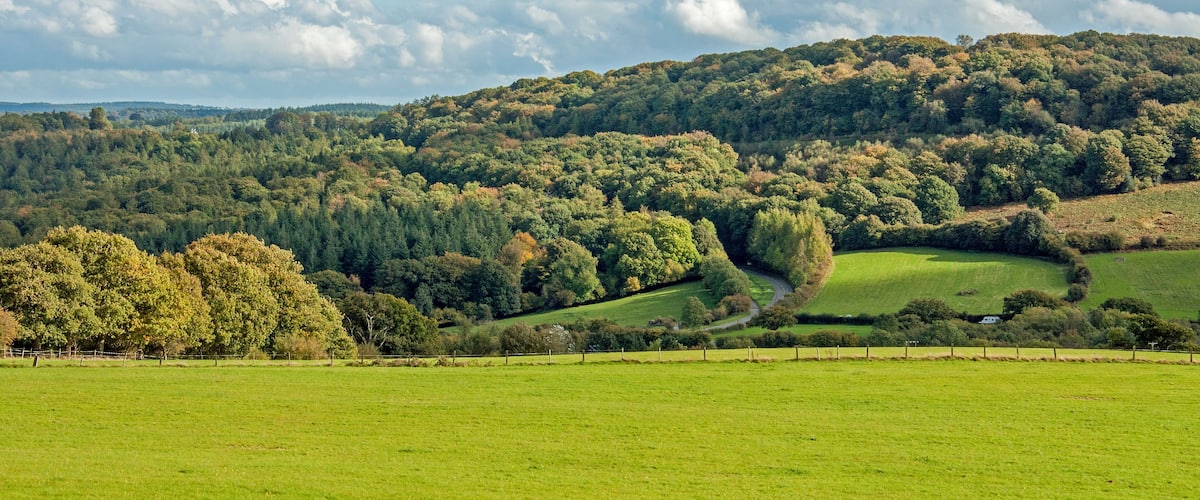 A lush green valley with rolling hills and scattered trees.
