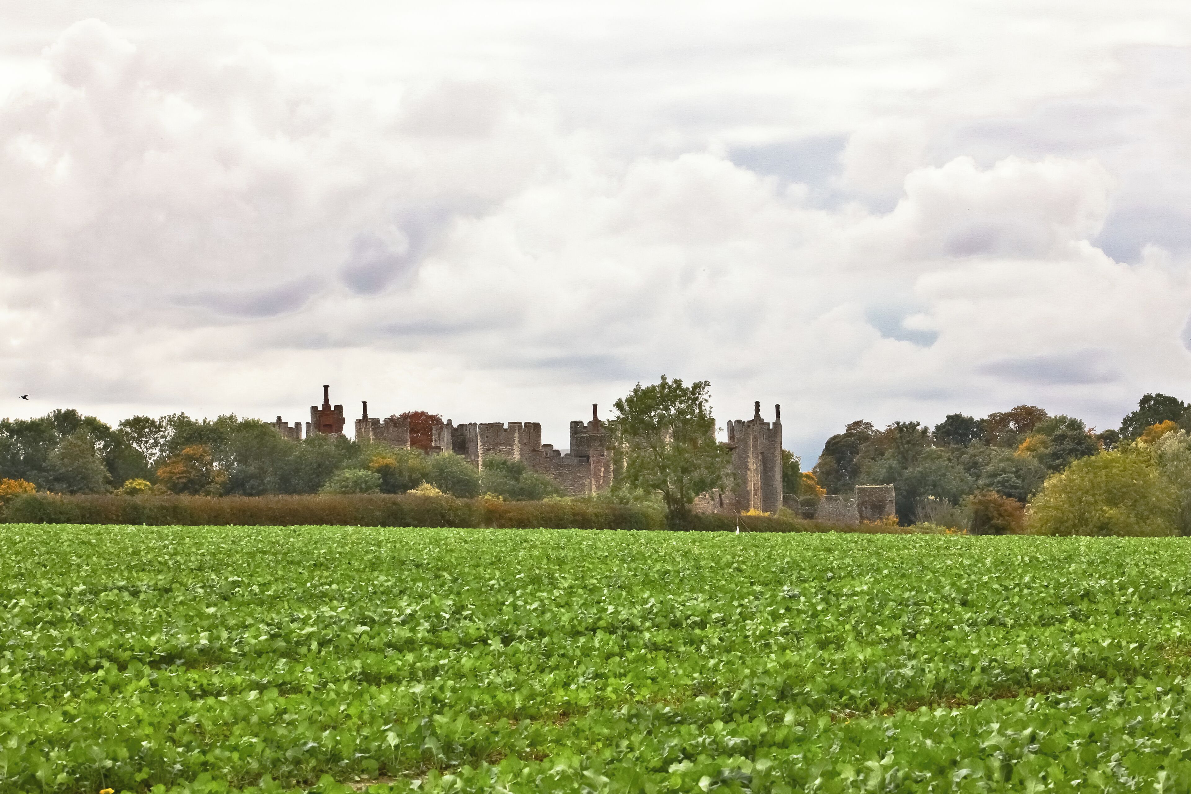 Framlingham castle in autumn