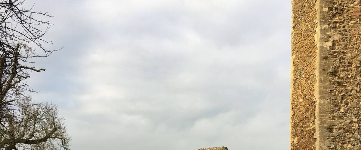 A historic stone castle ruin with a grassy hill and a river in the background.