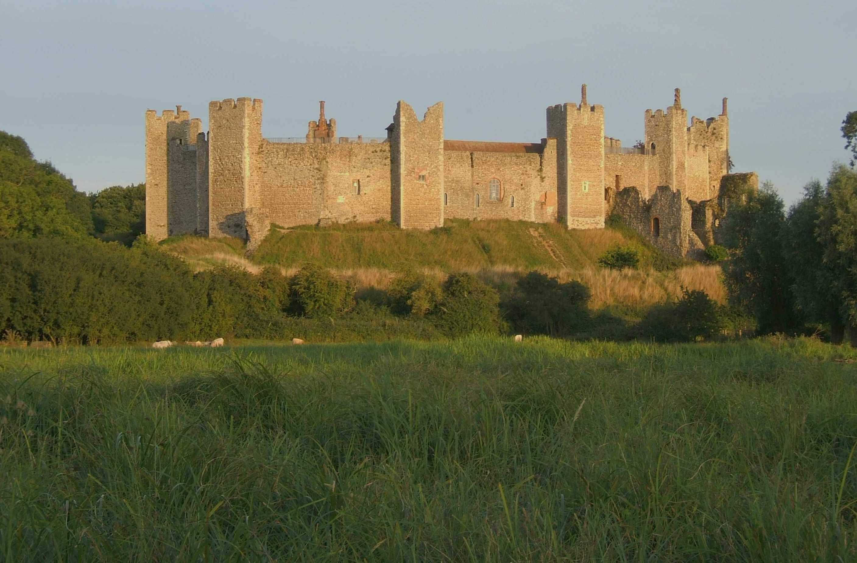 A medieval castle on a hill with surrounding greenery.