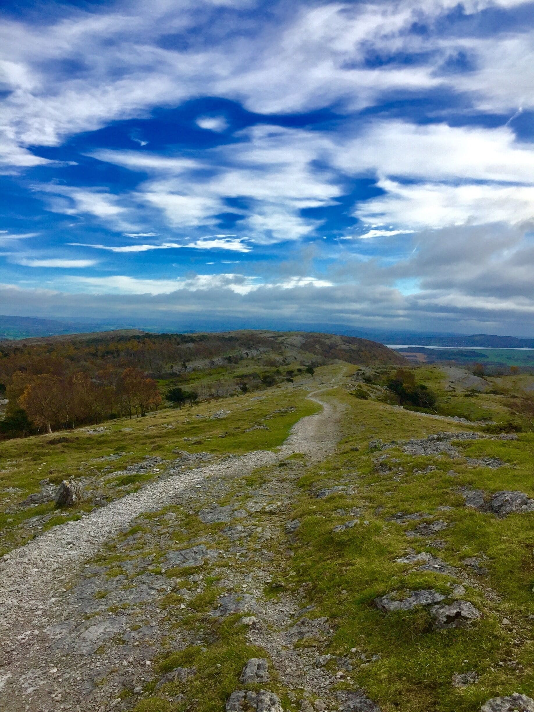 From the summit cairn. Lovely place to walk with views of Morecambe Bay and the Lakes. Miles of paths through the woods and over limestone pavement. Unlikely to meet anyone else!