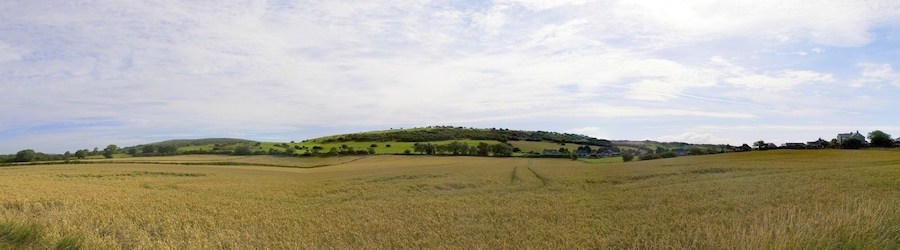 A vast agricultural field with rolling hills and scattered trees in the background.