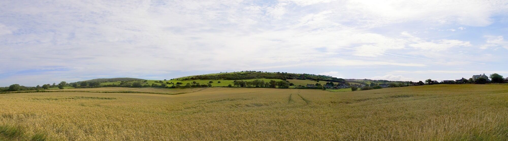 A vast agricultural field with rolling hills and scattered trees in the background.