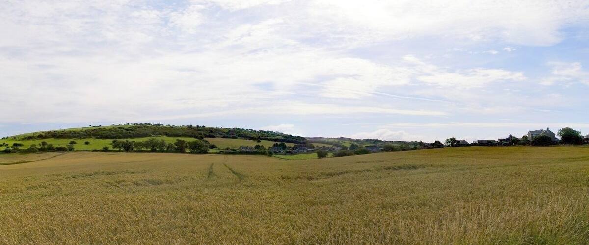 A vast agricultural field with rolling hills and scattered trees in the background.