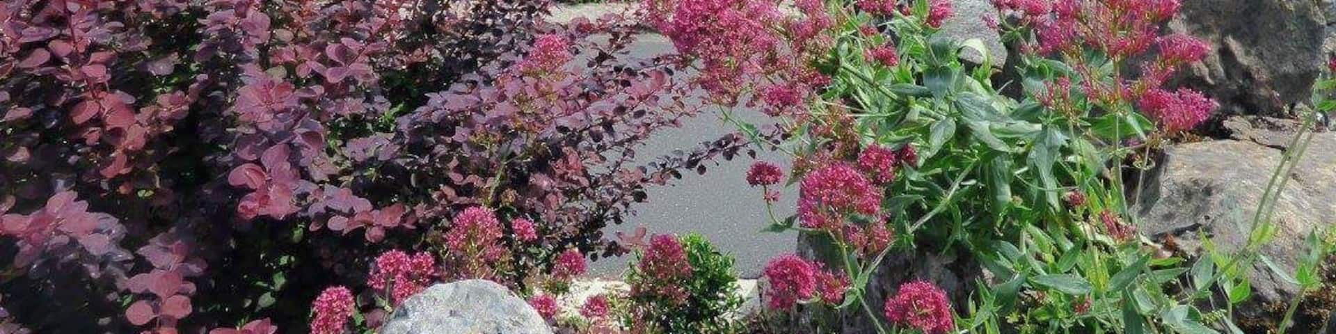 Beautiful prom here looking over the salt marshes. Theres even a disused lido.Hope it gets a new leese of life oneday.
