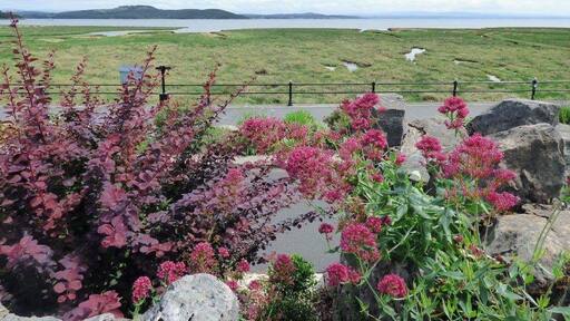 Beautiful prom here looking over the salt marshes. Theres even a disused lido.Hope it gets a new leese of life oneday.