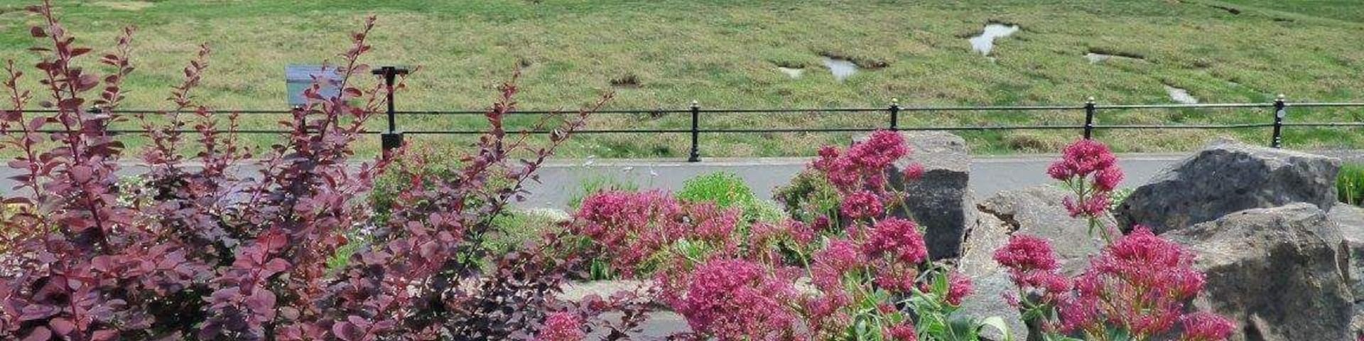 Beautiful prom here looking over the salt marshes. Theres even a disused lido.Hope it gets a new leese of life oneday.