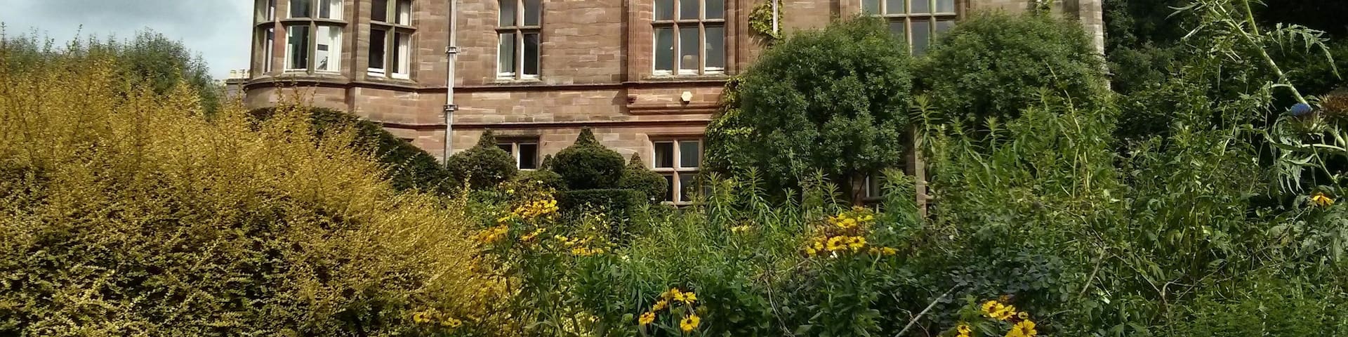 Volker Hall side Cark