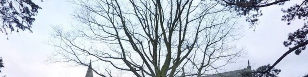 The Parish Church of Mary Allithwaite