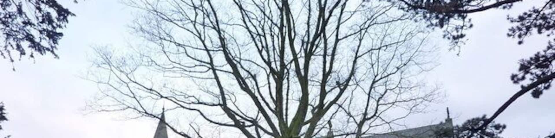 The Parish Church of Mary Allithwaite