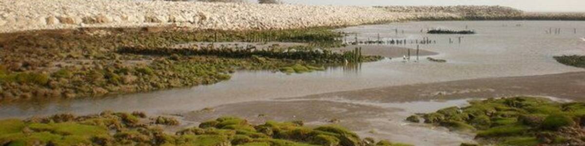 Sea defences south of Leisure Park