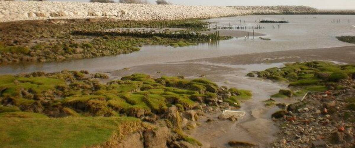 Sea defences south of Leisure Park