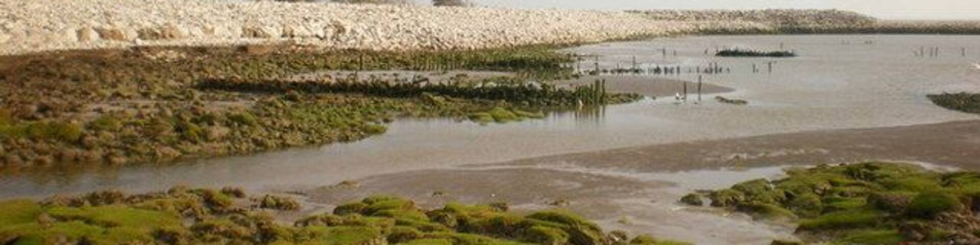 Sea defences south of Leisure Park