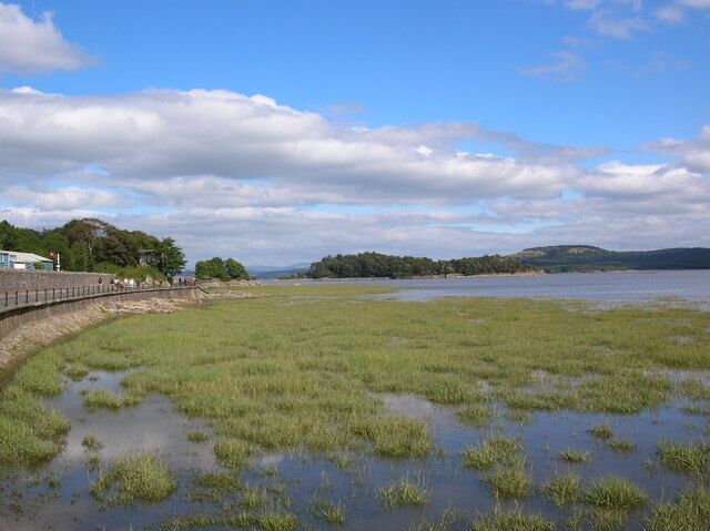 Un paisaje costero con un puente, humedal cubierto de hierba y colinas distantes bajo un cielo parcialmente nublado.