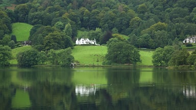 A lake with a white house on a hill surrounded by dense green trees.
