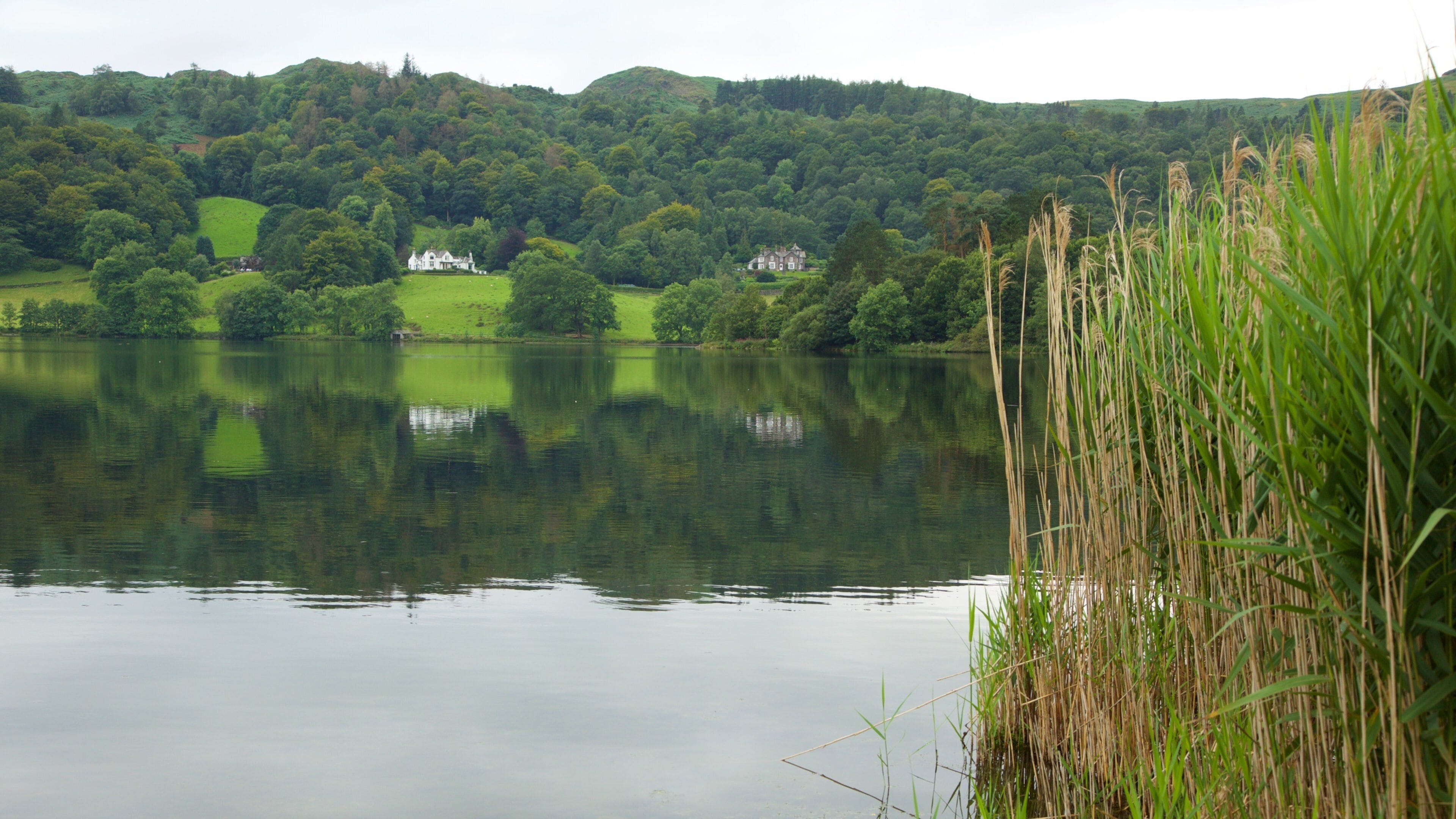 Grasmere que incluye paisajes forestales y un lago o laguna