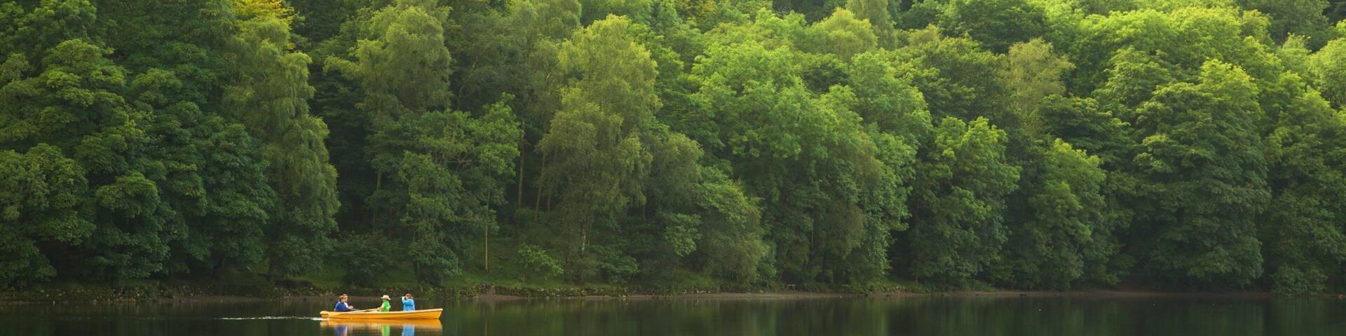 Grasmere showing kayaking or canoeing and forest scenes