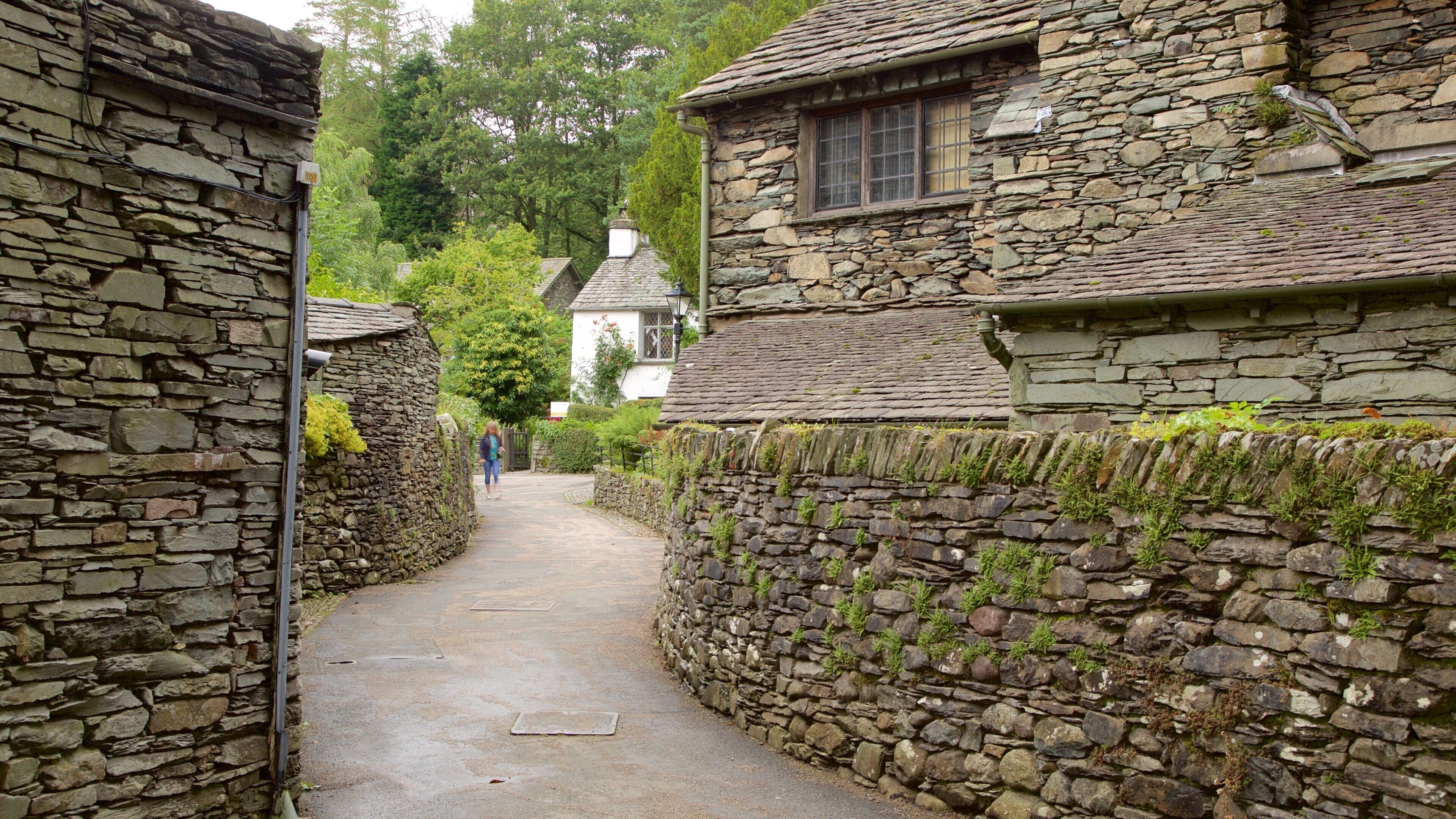 Grasmere which includes a small town or village