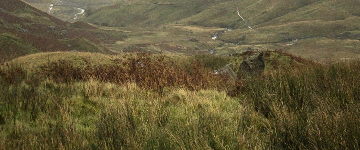 A valley with a river, rolling hills, and a cloudy sky.