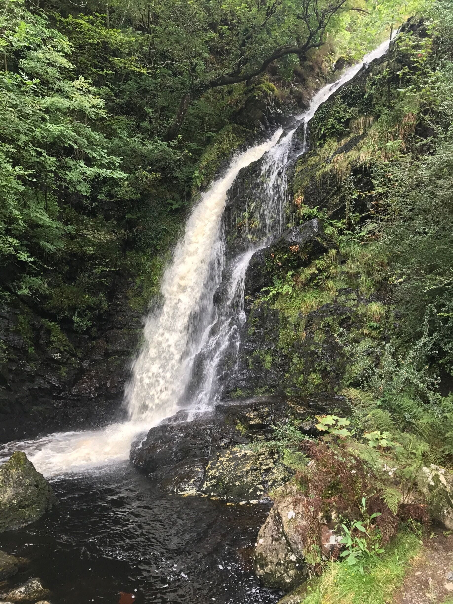 Cold autumn day 2017