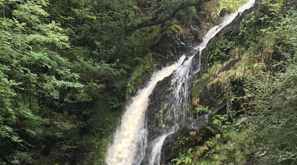 Cold autumn day 2017