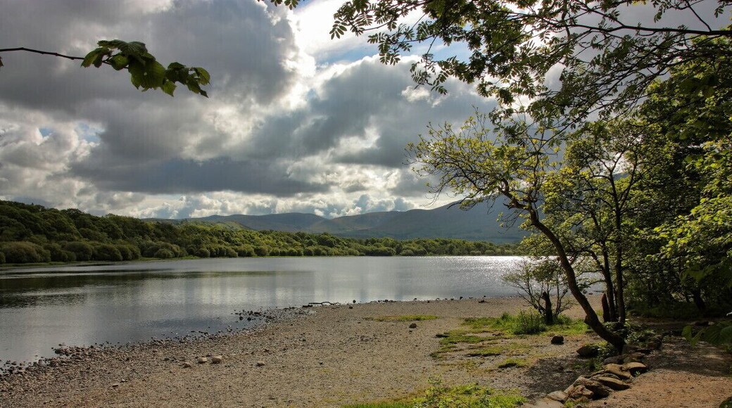 Bassenthwaite, Lake District