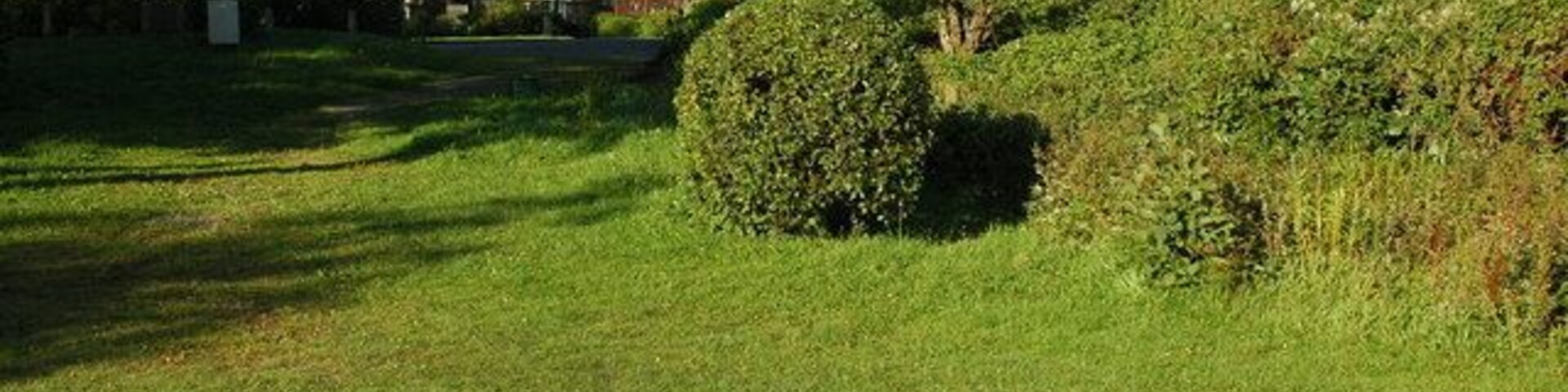 Un espacio cubierto de césped con un arbusto grande, una casa y una colina con árboles.