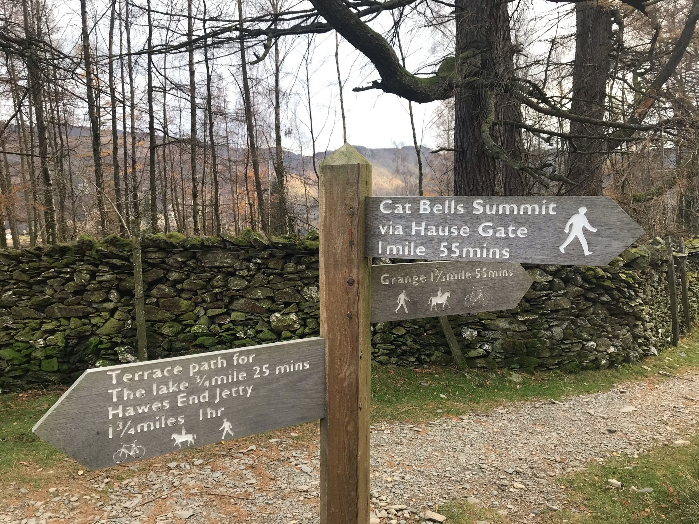 There is something special about a nice Autumn hike in the glorious Lake District great autumn colours the rain abetted till last half mile walk we did the Catbell circular walk then headed of for well deserved hit drink#hiking#Lakedistrict#autumn