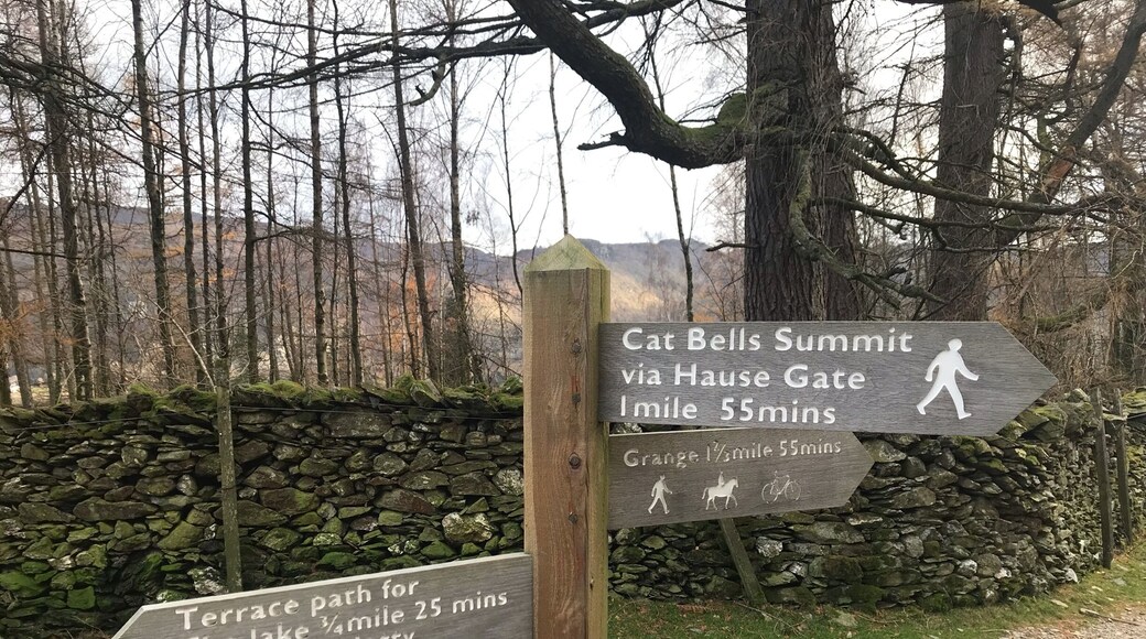 There is something special about a nice Autumn hike in the glorious Lake District great autumn colours the rain abetted till last half mile walk we did the Catbell circular walk then headed of for well deserved hit drink#hiking#Lakedistrict#autumn