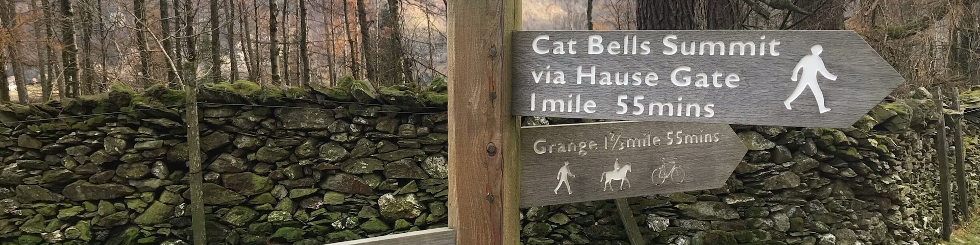 There is something special about a nice Autumn hike in the glorious Lake District great autumn colours the rain abetted till last half mile walk we did the Catbell circular walk then headed of for well deserved hit drink#hiking#Lakedistrict#autumn