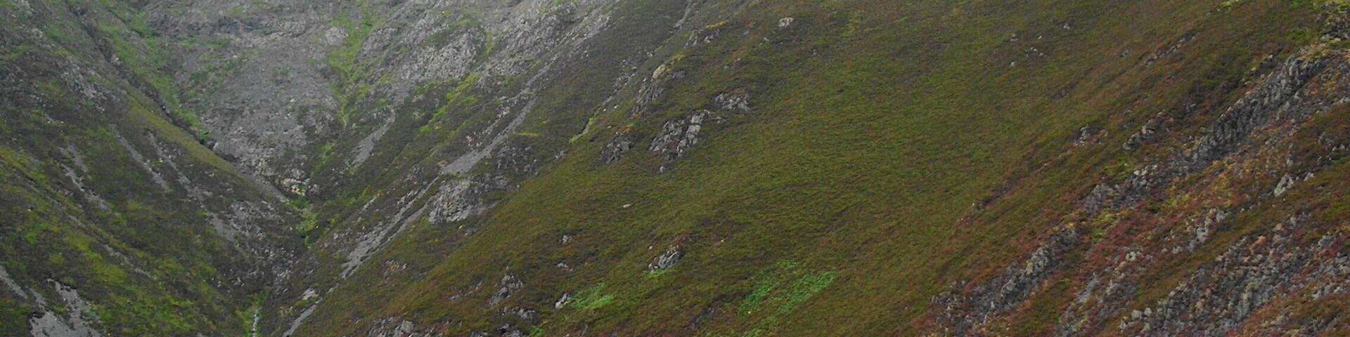 The ascent of Blencathra by Doddick Fell You can see most of the route up. It is steeper than it looks.