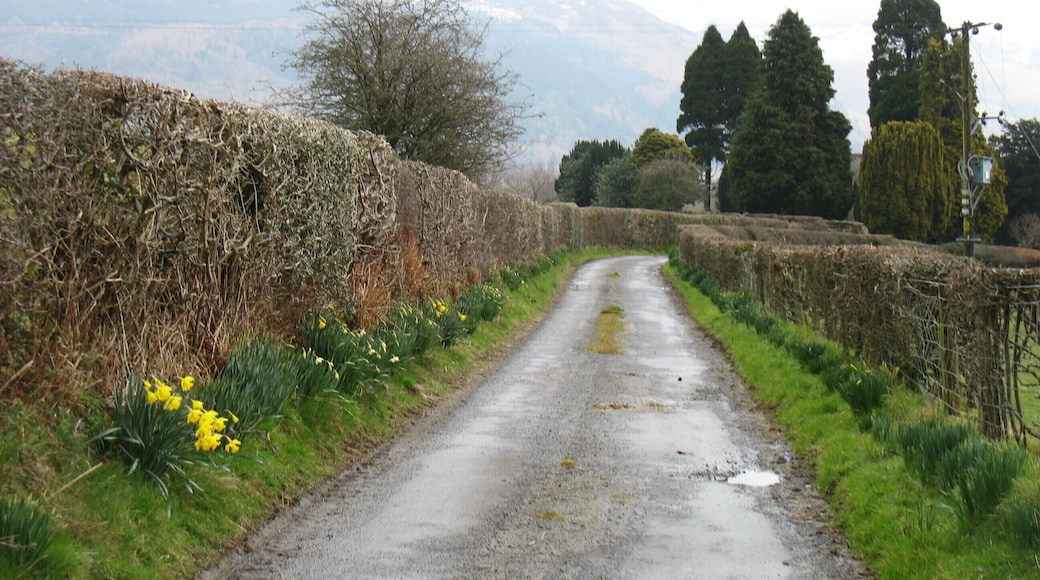 The approach to St Mary the Virgin church, Thornthwaite