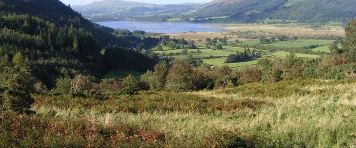 Lake View Point. Half way up Winlatter Pass road B5292 the view over Bassenthwaite Lake.