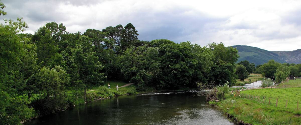 A river flowing through a lush green landscape with dense trees and a distant mountain range.