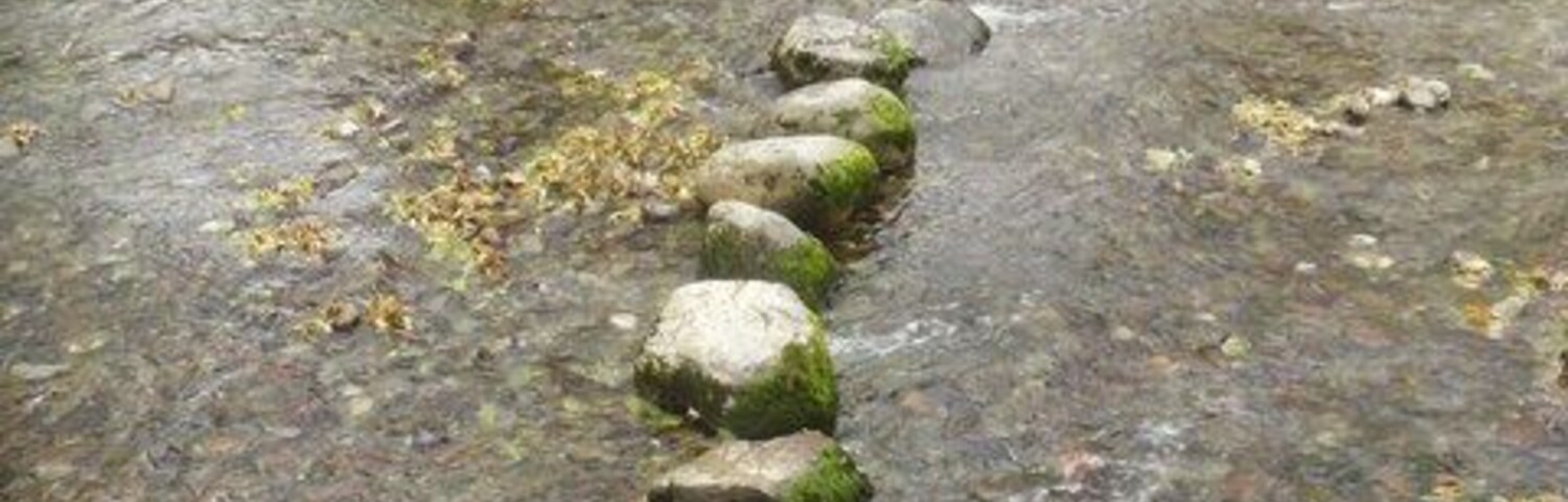 Un puente de piedra sobre un arroyo con un paisaje rural de fondo.