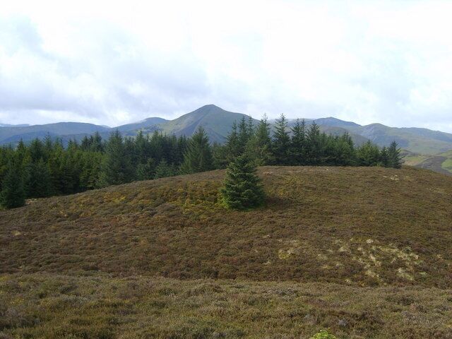 On Ullister Hill Minor 'peak bagging' in Whinlatter