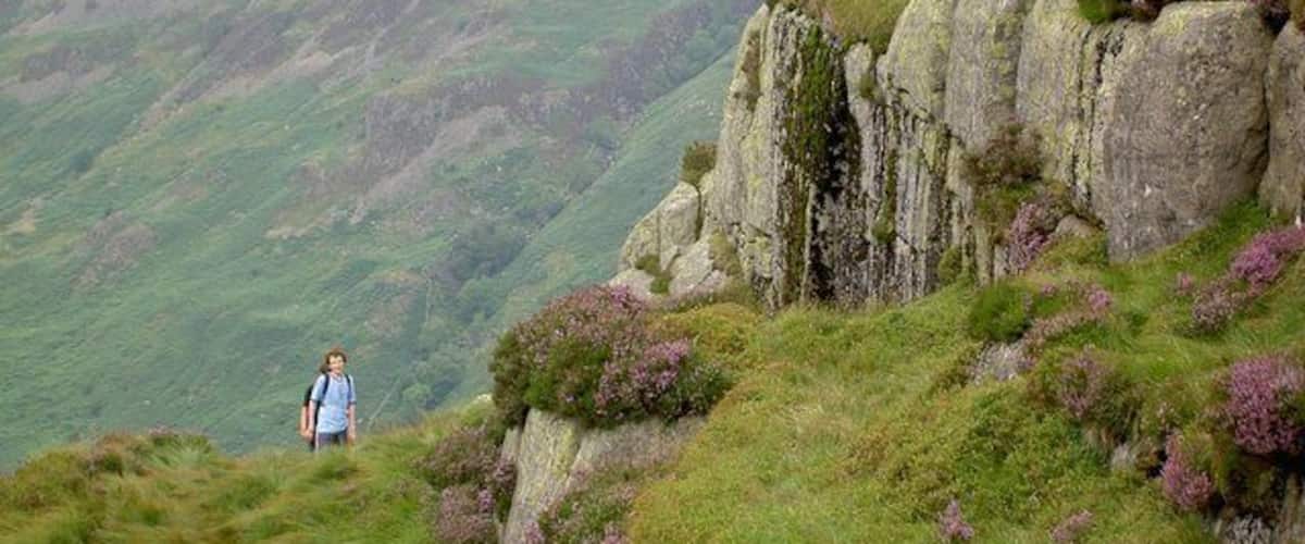 Terraces at Top of Eagle Crag.