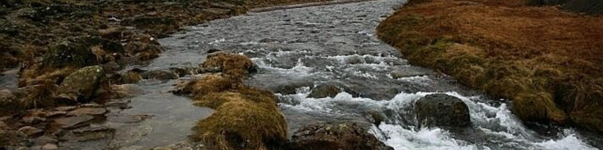 Near the Top of Styhead Gill Another five minutes further up and the gill gives way to Styhead Tarn. Let's hope the mist gives way too.