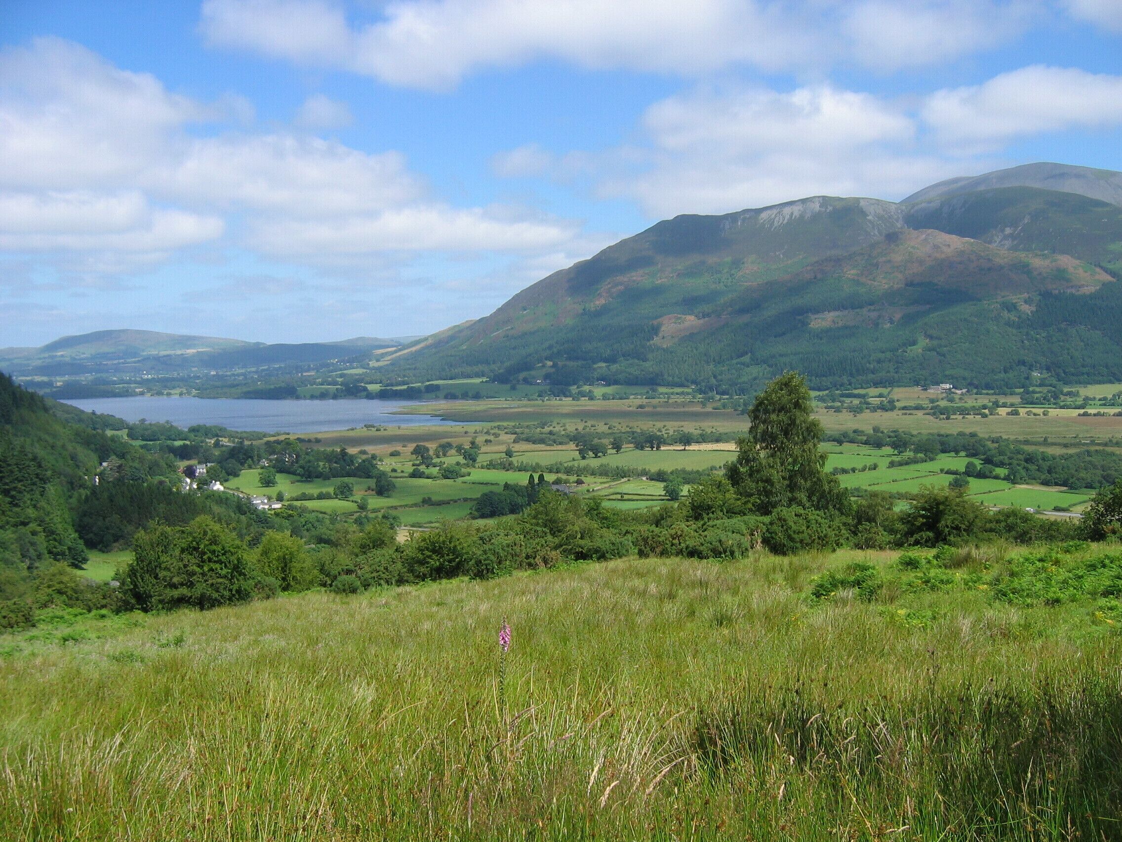 Bassenthwaite Lake from the Whinlatter Pass Road, Cumbria. To the right of the lake is the Skiddaw Group