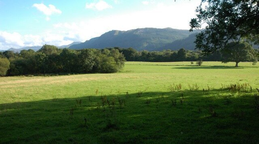 Farmland at Scarness Farmland at Scarness to the east of Bassenthwaite Lake.
