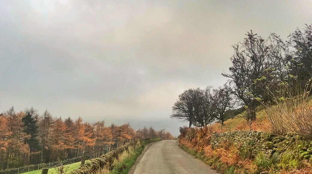 English countryside during Autumn...