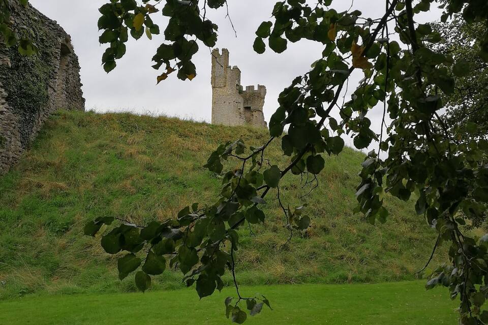 A castle on a grassy hill with trees in the foreground.