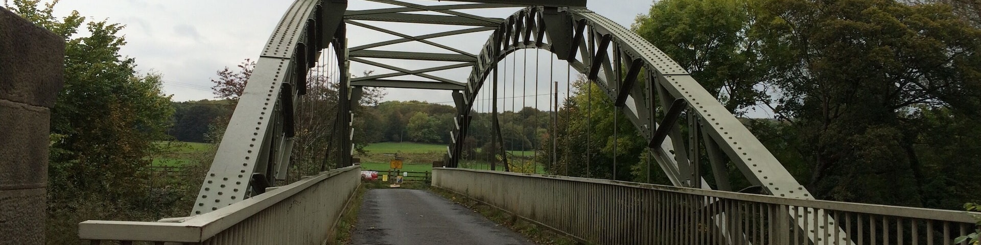 A metal bridge with a road, surrounded by trees and greenery.