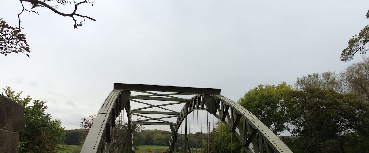 A metal bridge with a road, surrounded by trees and greenery.
