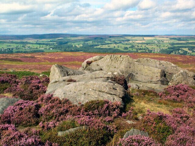 A rocky landscape with heather and a distant view of rolling hills.