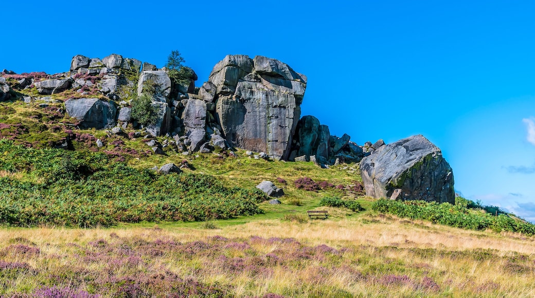 A view towards the Cow and Calf rocks on Ilkley moor above the town of Ilkley Yorkshire, UK in summertime