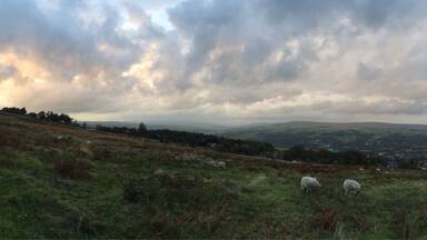 Late afternoon on #IlkleyMoor last October with early Autumn hues and of course those adorable sheep.
I love Ilkley Moor! It is part of the Yorkshire Dales #NationalPark.
#iPhoneonly semi-panorama
#goldenhour