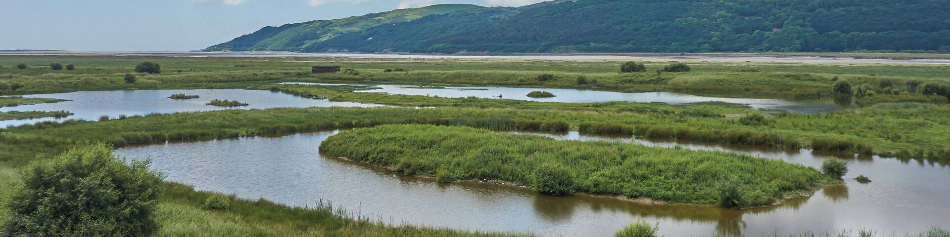 View from entrance to RSPB Ynys-Hir